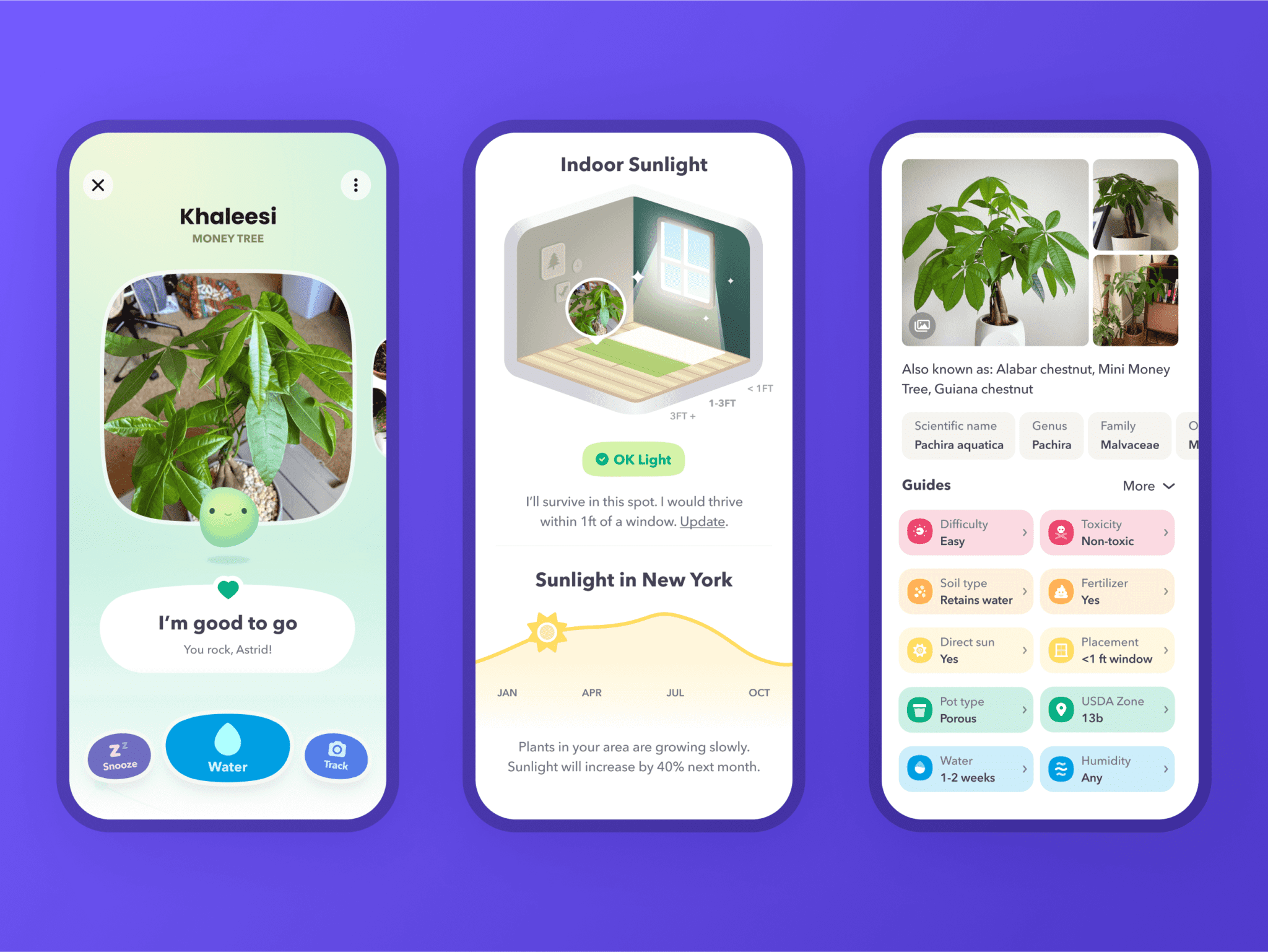 Greg.app plant care app design